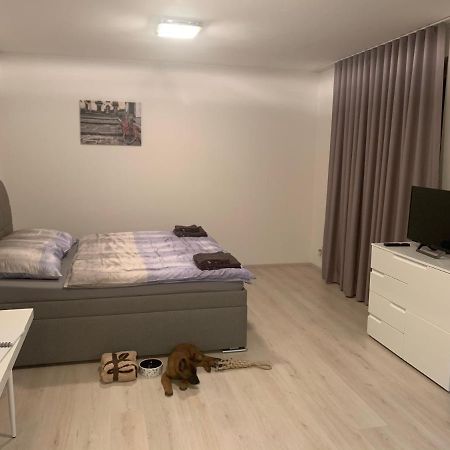 Modern Apartment In The City Center 比尔森 外观 照片