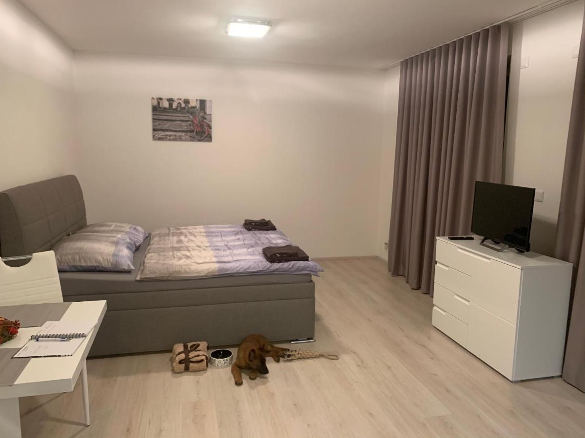Modern Apartment In The City Center 比尔森 外观 照片